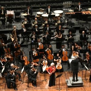 Photos: La Orquesta Sinfónica Nacional Hermanó Al Público Con El Himno A La Alegría