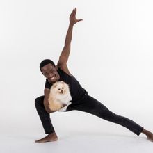DANCERS LOVE DOGS Returns to the Baxter Theatre This Month