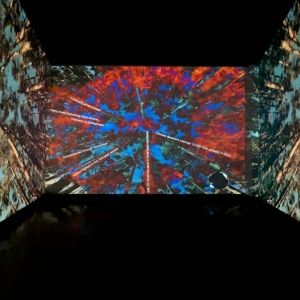 PERENNIAL LAND – THE DATA FOREST To Premiere At Jersey City Theater Center