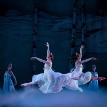 Oakland Ballet Company Performs GRAHAM LUSTIG'S THE NUTCRACKER Next Month