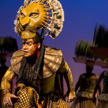 Tickets on Sale For THE LION KING at the Buddy Holly Hall Next Week