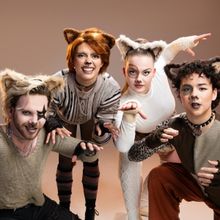 CATS and SCHOOL OF ROCK Come to Theatre Under the Stars