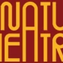 Signature Theatre Will Present New Musical SAFETY NOT GUARANTEED