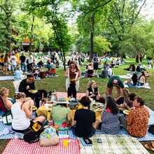 600+ Gather for THE LONGEST PICNIC BLANKET at Delacorte Theater