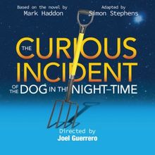 THE CURIOUS INCIDENT OF THE DOG IN THE NIGHT-TIME Comes to South Camden Theatre…