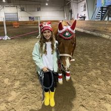 Bergen Equestrian Celebrates The Holidays With A Horse Parade