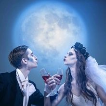 SURPRISE Comes to the Holland Opera This Summer