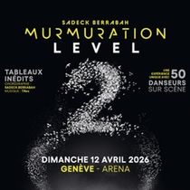 Sadeck Berrabah Will Bring MURMURATION to Geneva