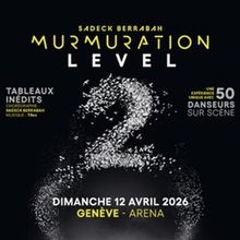 Sadeck Berrabah Will Bring MURMURATION to Geneva