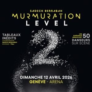 Sadeck Berrabah Will Bring MURMURATION to Geneva