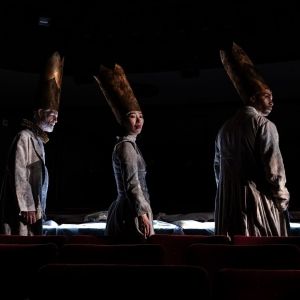 Compagnia De' Colombari's KING LEAR to Have Off-Broadway NYC Premiere & Limited Run 