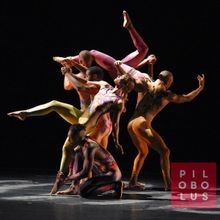 PILOBOLUS re:CREATION Tour Comes to Mayo Performing Arts Center in April