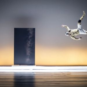 National Theatre of Prague Cancels Performances of THE LAND OF BODY Due to Illness
