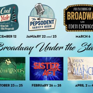 INTO THE WOODS, SISTER ACT and More Set for Desert Theatricals Season 8 Video