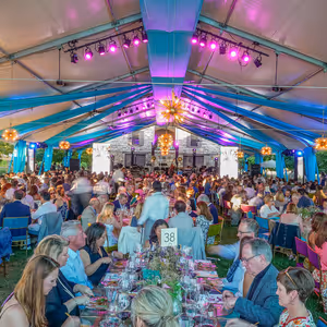 Festival Napa Valley Reveals 20th Anniversary Summer Season