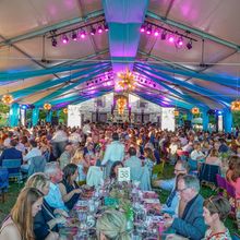 Festival Napa Valley Reveals 20th Anniversary Summer Season