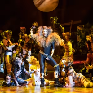 CATS in Australia Adds New Cities Plus Extra Sydney Performances