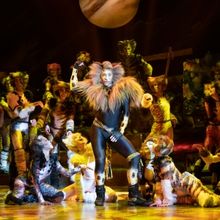 CATS in Australia Adds New Cities Plus Extra Sydney Performances
