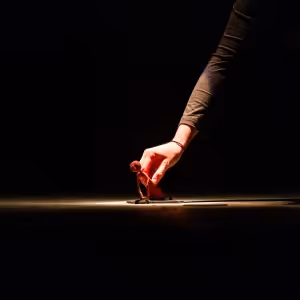 Tortoise In A Nutshell Announces RAGNAROK Tour, 3 February - 28 March