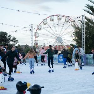 Bondi Festival Returns This Month