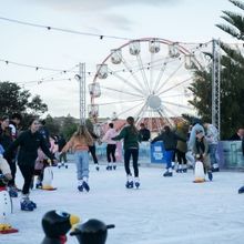 Bondi Festival Returns This Month