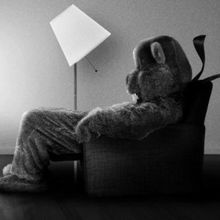 HUNDREDS OF BEAVERS Makes Streaming Debut This Month