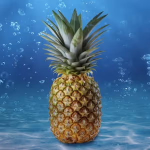 Cast Set For THE SPONGEBOB MUSICAL at Cygnet Theatre