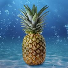Cast Set For THE SPONGEBOB MUSICAL at Cygnet Theatre