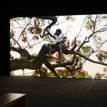 25th Biennale of Sydney 'REMEMORY' Opens at Campbelltown Arts Centre