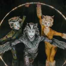 Photos: Meet the Cast of CATS At Paramount Theatre