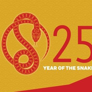 Xian Zhang Conducts New Jersey Symphony's 2025 Lunar New Year Celebration Interview
