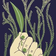 SOMEONE WILL REMEMBER US Comes to Trinity Rep Next Month