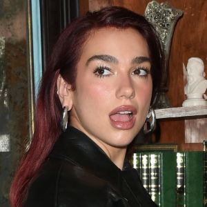 Photos: Dua Lipa Welcomes Fans to World-Famous Houdini Estate in Los Angeles to…