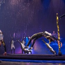 'TWAS THE NIGHT BEFORE… Will Come to the Barbara B. Mann Performing Arts Hall in No