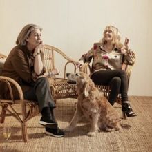 THE WEEKEND Comes to Belvoir in August