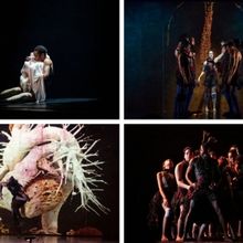 SYMPHONIE OF HEARTS Will Be Performed By Danse Danse in April