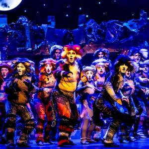 Photo/Video: CATS Comes To Life At Algonquin Arts Theatre