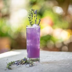 Rooftop Escape Gallow Green at The McKittrick Hotel Opens For The Season Next Week