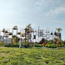 Valerie Green/Dance Entropy Brings CLEPSYDRA to Socrates Sculpture Park