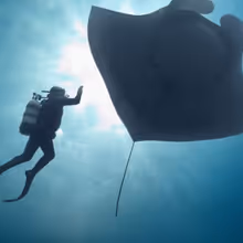 THE LAST DIVE to Premiere in Portland With Director and Festival Panelists