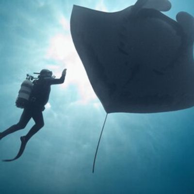 THE LAST DIVE to Premiere in Portland With Director and Festival Panelists