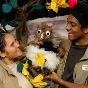 Honolulu Theatre For Youth Announces World Premiere Of FOREST FLUTTERS