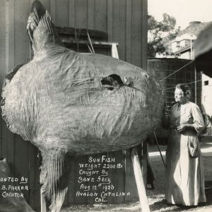Catalina Museum For Art & History Presents TIME CHANGES ALL ODDS: CATALINA &…