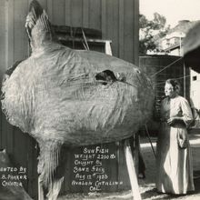 Catalina Museum For Art & History Presents TIME CHANGES ALL ODDS: CATALINA & PHOTOGRA