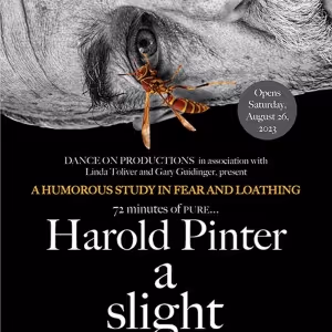 Harold Pinter's A SLIGHT ACHE Is Humorous Study In Fear And Loathing In Visiting…