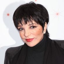 Liza Minnelli's Memoir to Be Adapted for the Screen