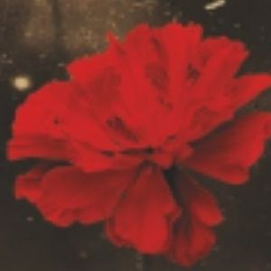 HADESTOWN to Open Starlight's 75th Broadway Season