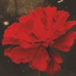 HADESTOWN to Open Starlights 75th Broadway Season Photo