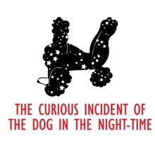 THE CURIOUS INCIDENT OF THE DOG IN THE NIGHT-TIME Takes the Stage At The Missoula Ch