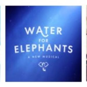 THE GREAT GATSBY, WATER FOR ELEPHANTS Announced for Broadway In Chicago 2026…